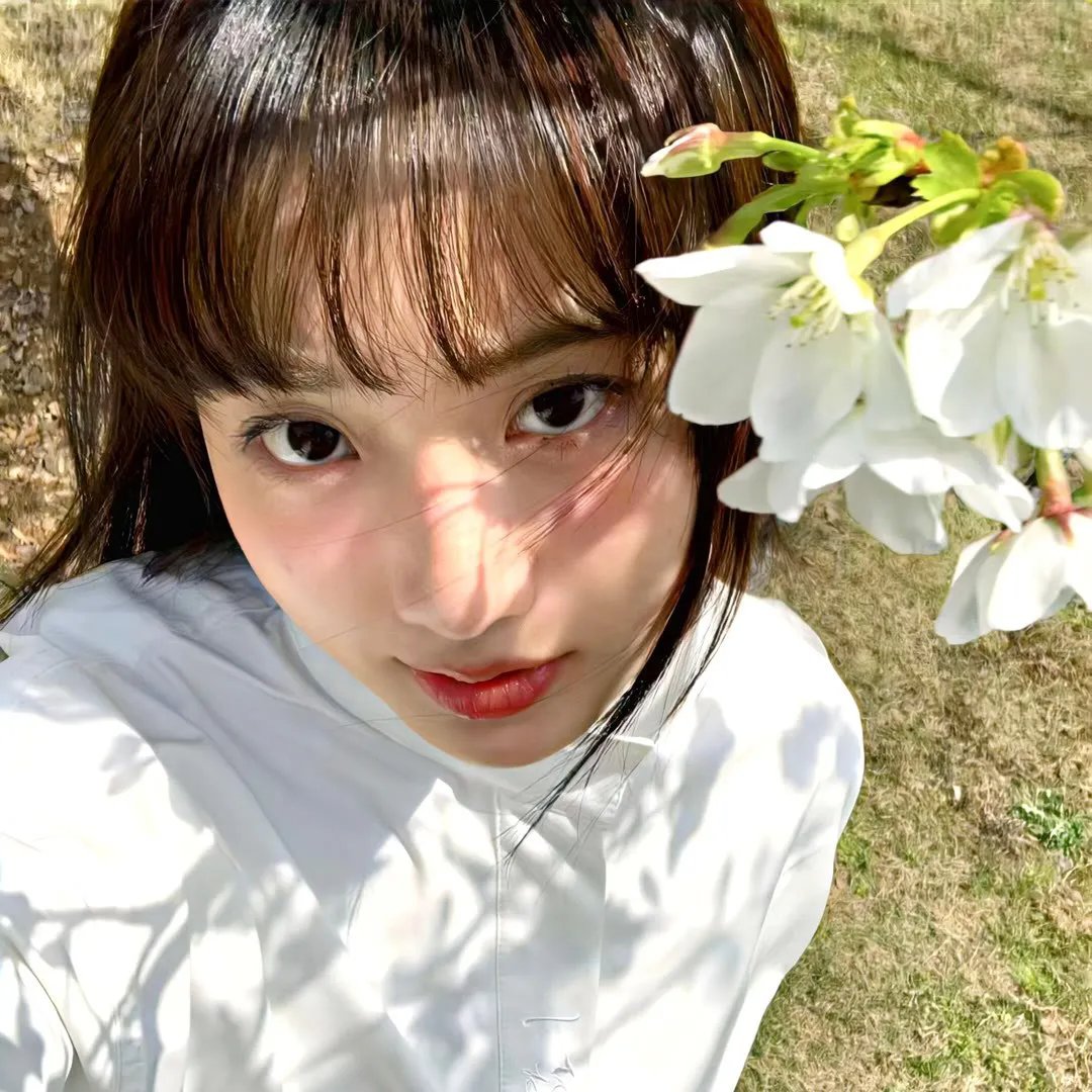 锅盖头4:回归法制